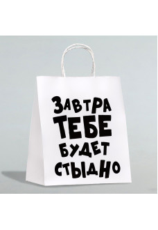 Подарочный пакет  Завтра тебе будет стыдно  - 30 х 24 см.