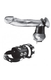 Утяжка на пенис и мошонку Cock Ring With 1.5  Ball Stretcher And Optional Weight Ring